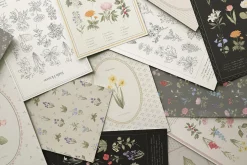 Wildflowers. Hand drawn pencil flora