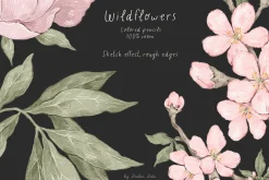 Wildflowers. Hand drawn pencil flora