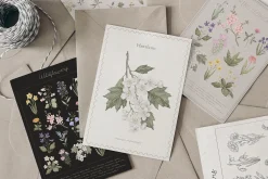 Wildflowers. Hand drawn pencil flora