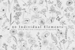 Wildflowers Line Art Collection