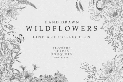 Wildflowers Line Art Collection