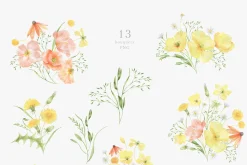 Wildflowers, poppies and herbs