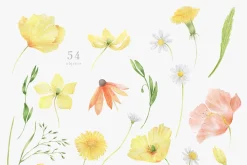 Wildflowers, poppies and herbs