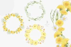Wildflowers, poppies and herbs
