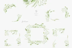 Wildflowers, poppies and herbs