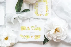 Wildflowers, poppies and herbs