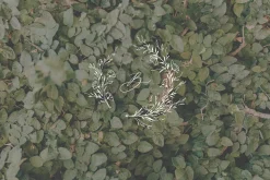Wildflowers wreath, floral wedding