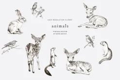 WILD GARDEN Pencil Sketch Clipart
