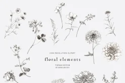 WILD GARDEN Pencil Sketch Clipart