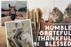 Wildheart | Font Family + Elements