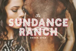 Wildheart | Font Family + Elements