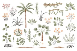 WILD illustrations&patterns