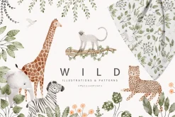 WILD illustrations&patterns