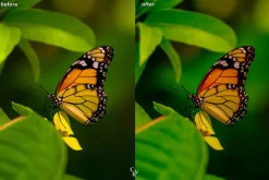 15 Wildlife Lightroom Presets