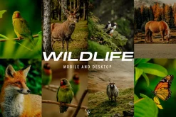 15 Wildlife Lightroom Presets