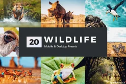 20 Wildlife Lightroom Presets & LUTs