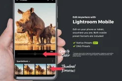 20 Wildlife Lightroom Presets & LUTs
