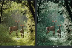 20 Wildlife Lightroom Presets & LUTs
