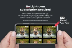 20 Wildlife Lightroom Presets & LUTs