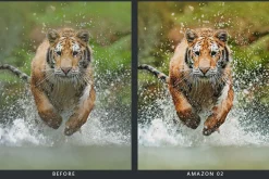 20 Wildlife Lightroom Presets & LUTs
