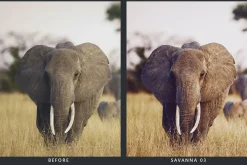 20 Wildlife Lightroom Presets & LUTs