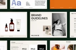 WILD MUSE / Brand Guidelines