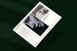 WILD MUSE / Brand Guidelines
