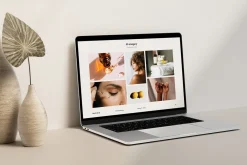 WILD MUSE / Brand Guidelines