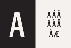 Winston Sans Typeface