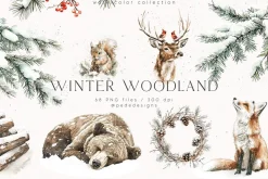 Winter Woodland