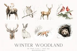 Winter Woodland