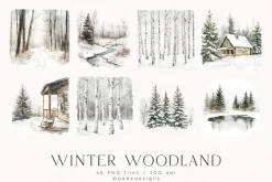 Winter Woodland