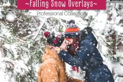 Winter and Christmas Overlays Pack
