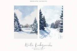 Winter Backgrounds I