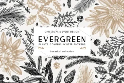 Winter Plants Set. Christmas Designs