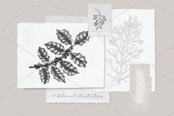 Winter Plants Set. Christmas Designs