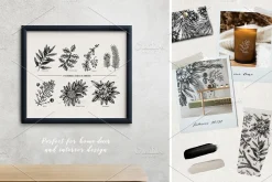 Winter Plants Set. Christmas Designs