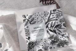 Winter Plants Set. Christmas Designs