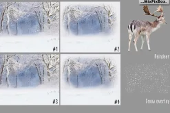 Winter Reindeer Backdrop