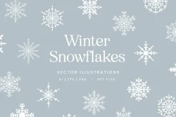 Winter Snowflake Vector Illustration