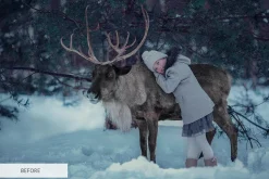 Winter Tale Photoshop Actions