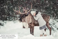 Winter Tale Photoshop Actions