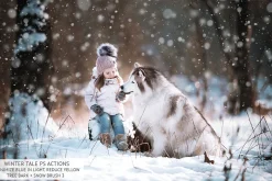 Winter Tale Photoshop Actions
