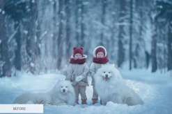 Winter Tale Photoshop Actions
