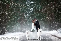 Winter Tale Photoshop Actions