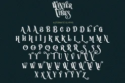 Winter Vibes - Modern All Caps Serif