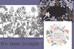 Witchcraft Herbs Vectors & Designs