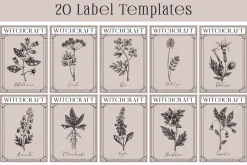 Witchcraft Herbs Vectors & Designs