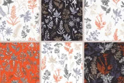 Witchcraft Herbs Vectors & Designs