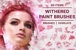 Withered Paint Brushes